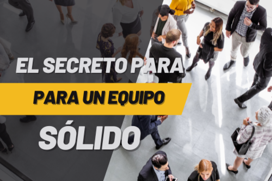 Cómo Crear un Equipo Sólido en tu Compañía de Network Marketing