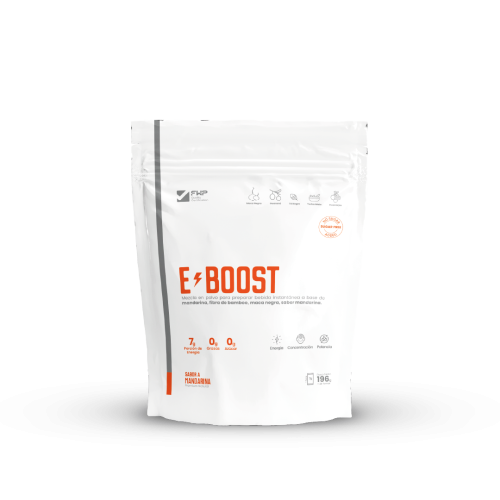 E-BOOST